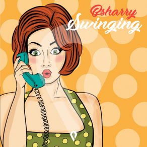 Download track Swinging (Extended Mix) Bsharry