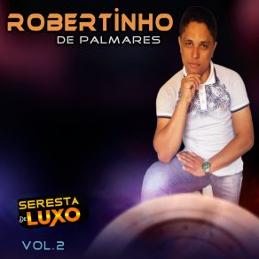 Download track Cidade Grande Robertinho De Palmares