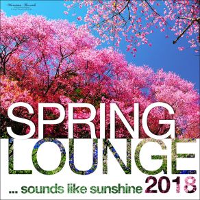 Download track A New Beginning (Jazz Mix) Frank Borell