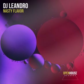 Download track Nasty Flavor (Radio Edit) Dj Leandro