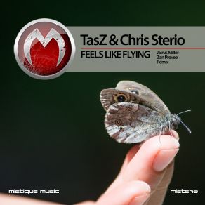 Download track Feels Like Flying (Jairus Miller Remix) Chris Sterio, TasZ