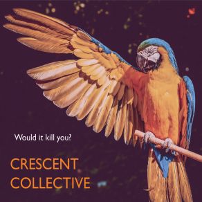 Download track Further East Than First Crescent Collective