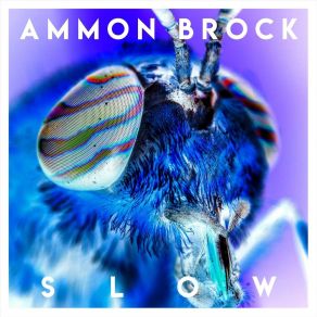 Download track Last Times Ammon Brock