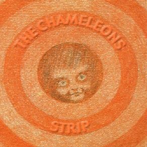 Download track Less Than Human The Chameleons