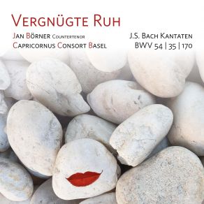 Download track Geist Und Seele Wird Verwirret, BWV 35 VII. Aria. Ich Wünsche Nur Bei Gott Zu Leben Jan Börner, Capricornus Consort Basel