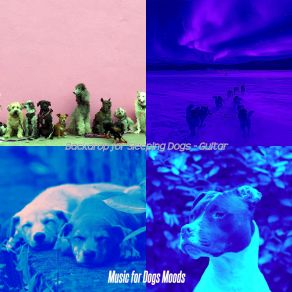 Download track Trio Jazz Soundtrack For Cute Puppies Music For Dogs Moods