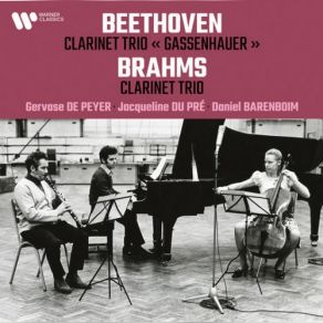 Download track Clarinet Trio In A Minor, Op. 114: II. Adagio Gervase De Peyer, Daniel Barenboim, Jacqueline Du Pré