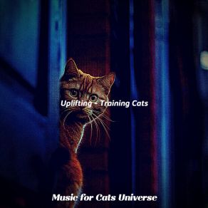 Download track Music (Sleeping Cats) Music For Cats Universe