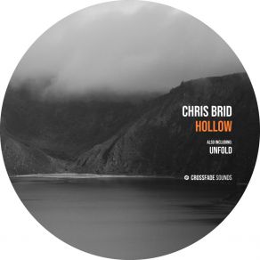 Download track Hollow Chris Brid