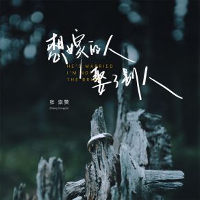 Download track 想嫁的人 娶了别人 (伴奏) 张崇赞