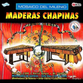 Download track Mini Mosaico De Boleros: Amor Eterno / Blanca Azucena / Linda Morena / Noches De Escuintla / Vida Cansada / Olvido Pasional Marimba Maderas Chapinas