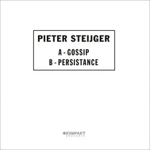 Download track Persistence (Original Mix) Pieter Steijger