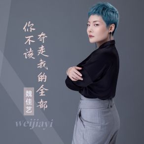 Download track 你不该夺走我的全部 (伴奏) 魏佳艺