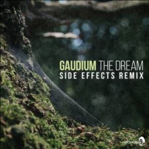 Download track The Dream (Side Effects Remix) Gaudium