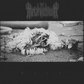 Download track Hole Of Wounds MELANKOLIUM