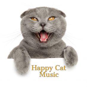 Download track Chasing My Tail Jazz Music For Cats