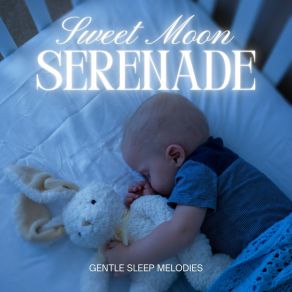 Download track Lullabies For Babies Gentle Sleep Melodies