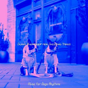 Download track Cultured Dogs Music For Dogs Rhythms