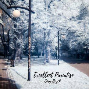 Download track Summer Of Passion Cory Reyck