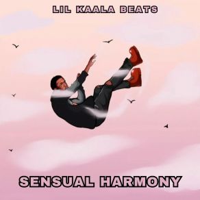 Download track Sensual Soundscape LIL KAALA BEATS