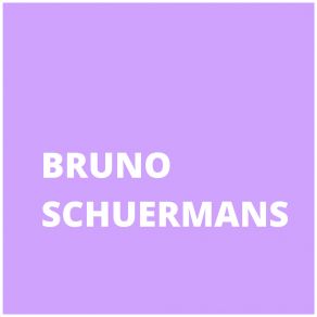 Download track I Never Felt More Bruno Schuermans