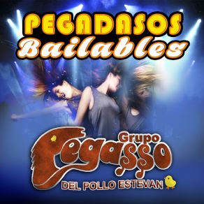 Download track La Equivocada Grupo Pegasso Del Pollo Estevan