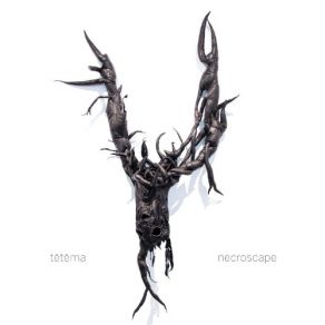 Download track Invertebrate Tetema