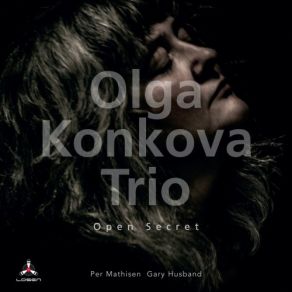 Download track All Sorts Of Weird And Wonderful Olga Konkova Trio