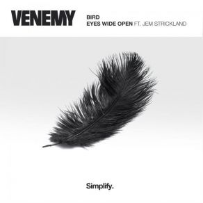 Download track Bird (Original Mix) Venemy