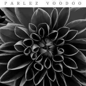 Download track One Spark Parlez Voodoo