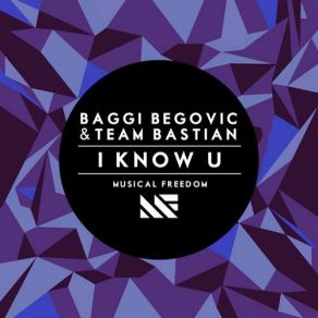 Download track I Know U (Original Mix) Baggi Begovic, Team Bastian