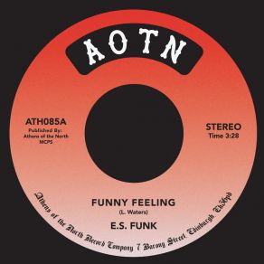 Download track Funny Feeling E. S. Funk