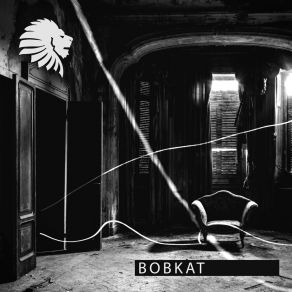 Download track Bobkat Sisko Electrofanatik