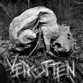 Download track Virus Mensch Verrotten