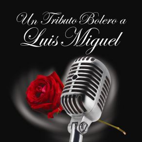 Download track Si Tú Te Atreves Latin Tribute Players