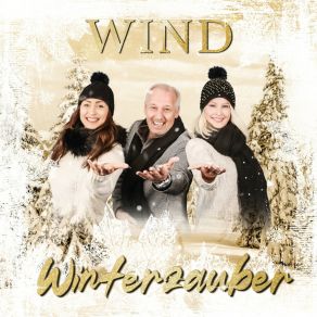 Download track Immer Wieder Im Dezember The Wind