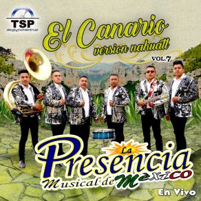 Download track El Coco Rayado / La Iguana / Chilito Pikin (En Vivo) La Presencia Musical De Mexico