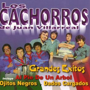 Download track El Vencido Los Cachorros De Juan Villarreal