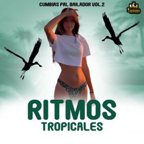 Download track La Vieja Ritmos Tropicales