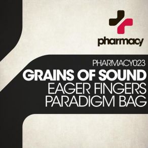 Download track Paradigm Bag (Original Mix) Grains Of Sound