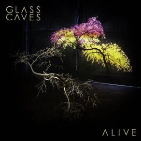 Download track Why Stay? Glass Caves