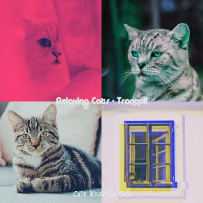 Download track Chilled (Training Cats) Calm Music For Cats