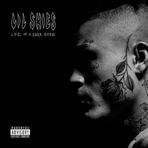 Download track Welcome To The Rodeo Lil Skies