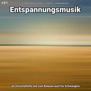 Download track Entspannungsmusik Teil 27 Entspannungsmusik