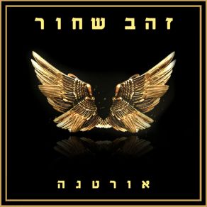 Download track יהלום אורטגהTzaguy Boy