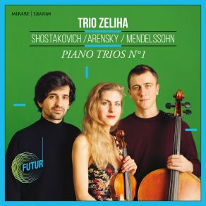 Download track Piano Trio No. 1 In C Minor, Op. 8 Trio Zeliha