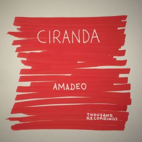 Download track Roda (Original Mix) Amadeo