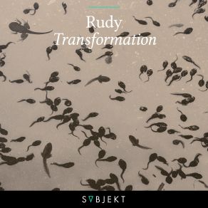 Download track Transformation (Martin Roth Extended Remix) Rudy