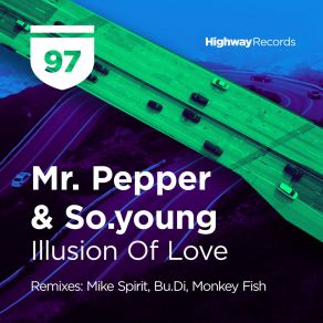 Download track Illusion Of Love (Monkey Fish Remix) So. YoungMonkey Fish