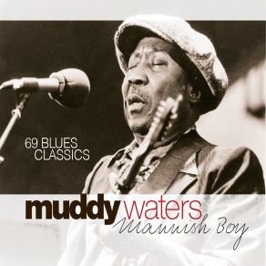 Download track You're Gonna Miss Me Muddy Waters